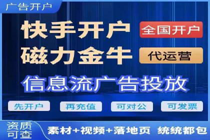 金融行业SEM服务的创新应用与效果